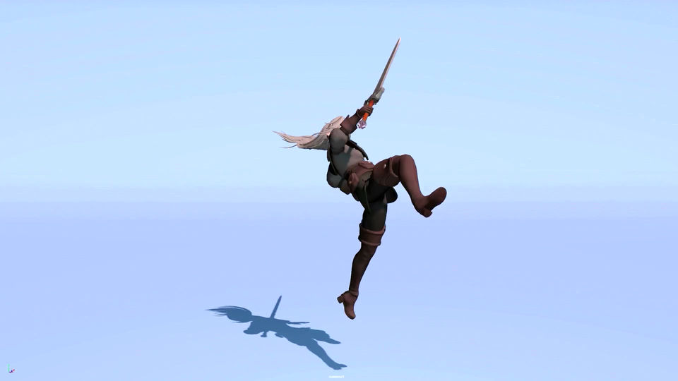 Animation de combat